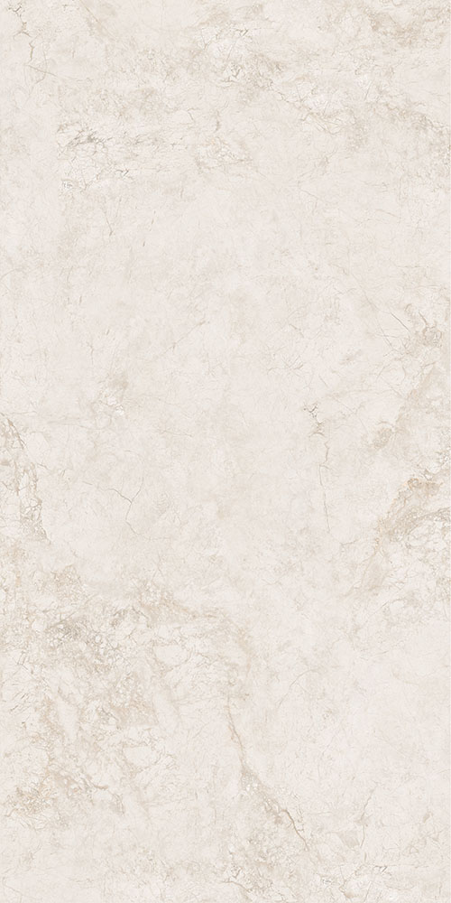 艾爾奶杏-TWX612550Y