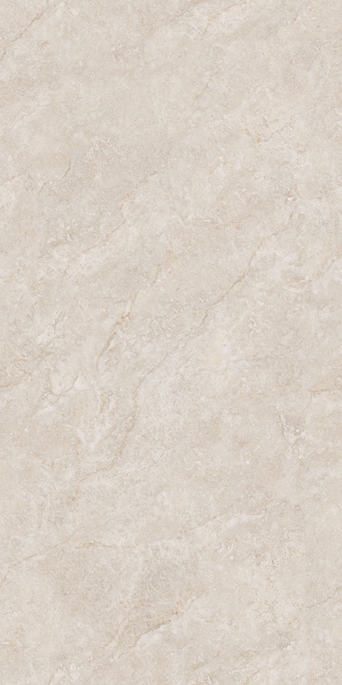 羅納米灰-TWX612551Y