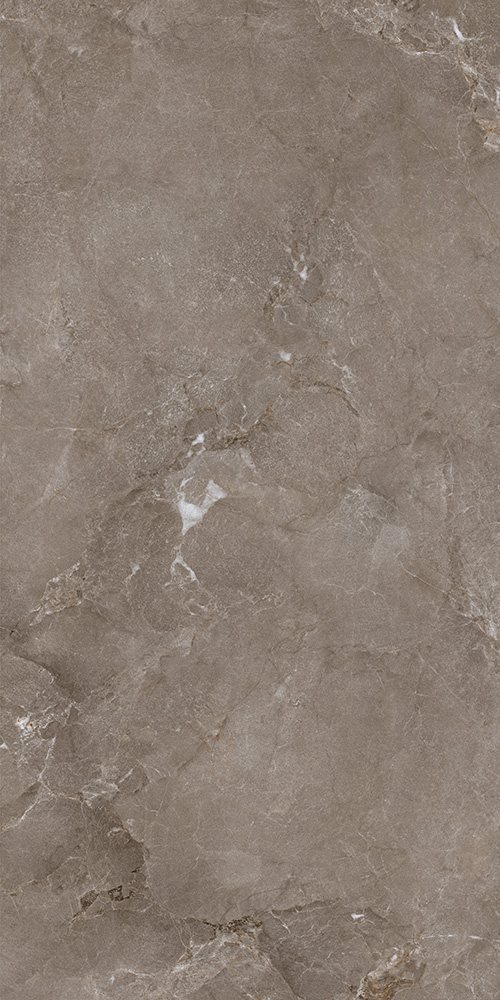 薩爾瓦灰-TWX612555Y